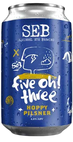 Botella de cerveza FIVE