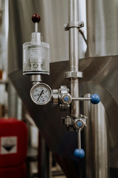 Mosto y Fermentación